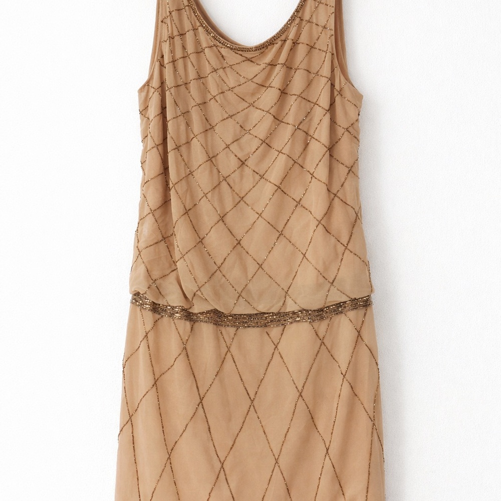 Adrianna Papell Beige Dress with Beaded Accents